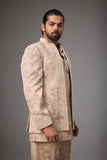 Taupe Regal Embroidered Indo-Western Set