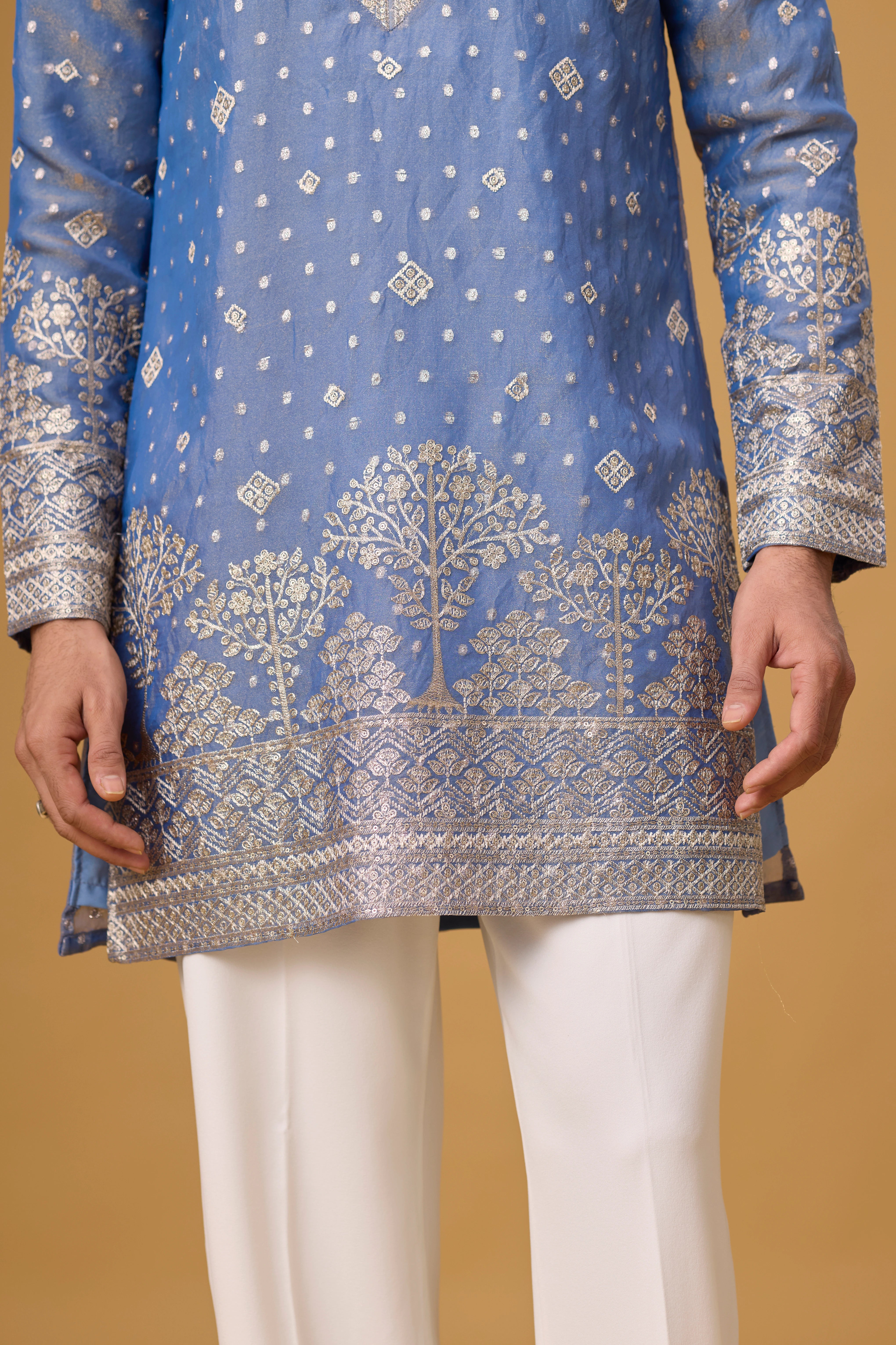 Powder Blue Regal Kurta Set – Cultural & Reception Wear | Mahavir NX